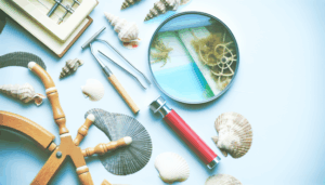 Download Course Description/Syllabi for Marine Biology in PDF with Free Signup